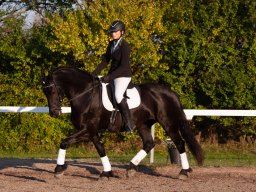 2014 Halloweenstævne